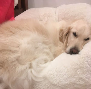 Meet your Posher, Rajiv